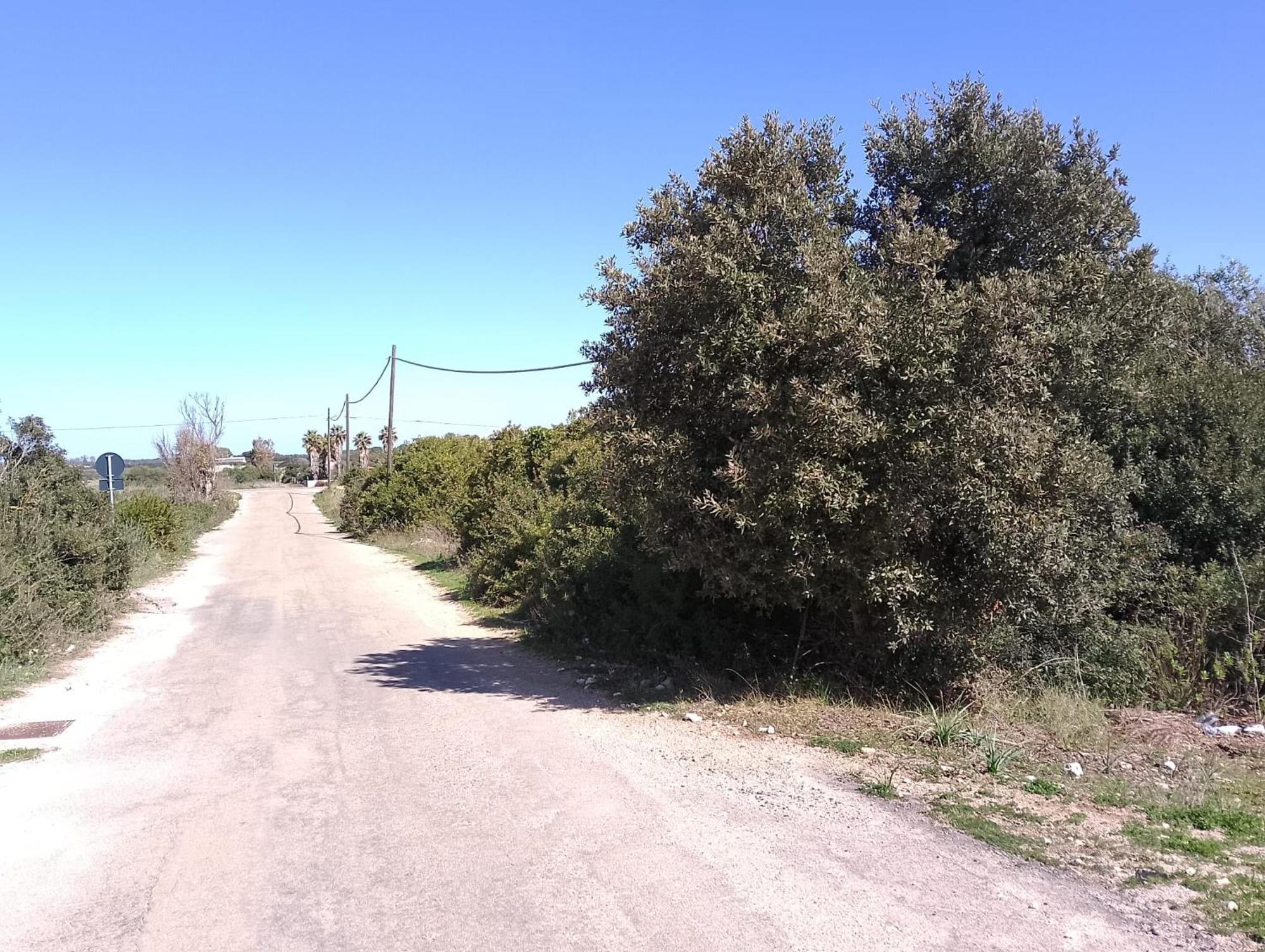 Punta Grossa Apartments By My Home Apulia 토레 라필로 외부 사진